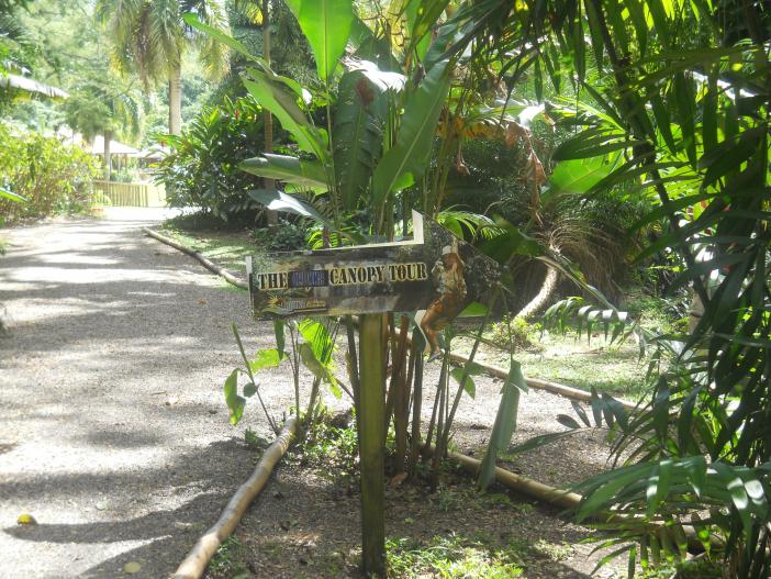 Name:  Taxi and Tours Jamaica, Montego Bay Airport Transfer, Ocho Rios Jamaica, Jamaican Driver, The Is.jpg
Views: 264
Size:  99.5 KB