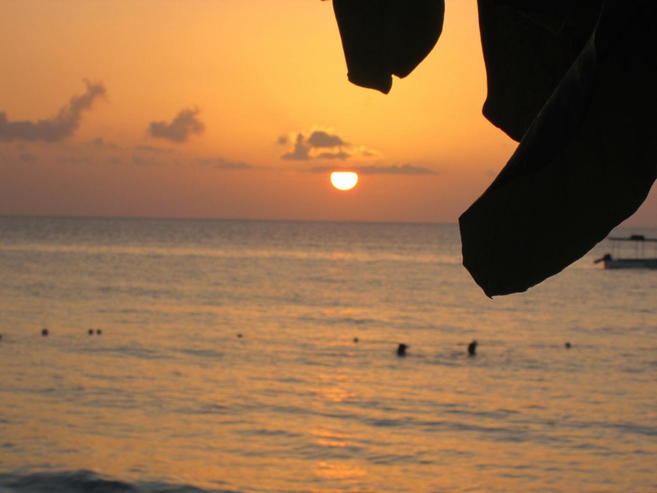 Name:  image.jpg
Views: 906
Size:  75.8 KB