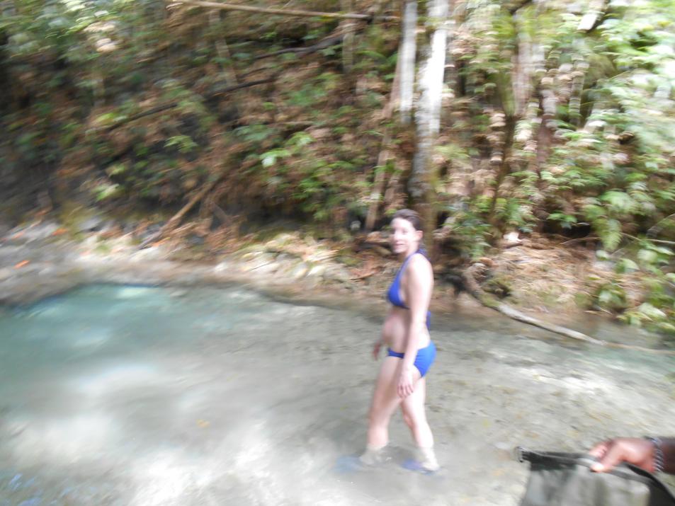 Name:  jamaica with kids jan 2014 298.jpg
Views: 658
Size:  91.8 KB