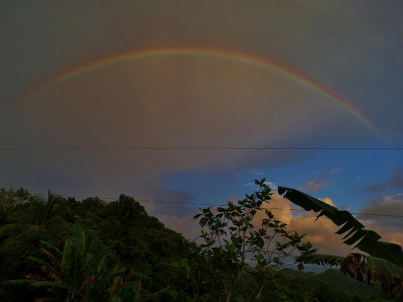 Name:  0045 Rainbow.jpg
Views: 1321
Size:  32.9 KB