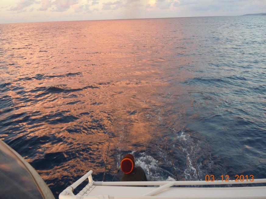 Name:  DSCN4096.jpg
Views: 716
Size:  95.8 KB
