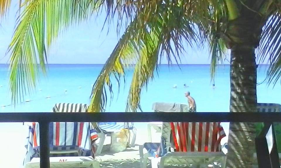 Name:  no1.jpg
Views: 745
Size:  82.6 KB