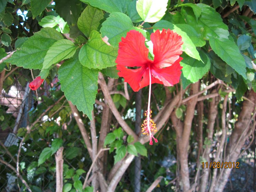 Name:  IMG_0407.jpg
Views: 264
Size:  94.7 KB