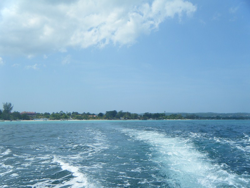 Name:  DSCF5777 (Copy).JPG
Views: 419
Size:  88.9 KB