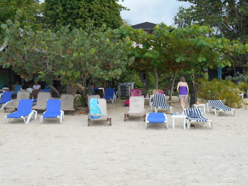 Name:  jamaica with kids jan 2014 217.jpg
Views: 658
Size:  97.0 KB