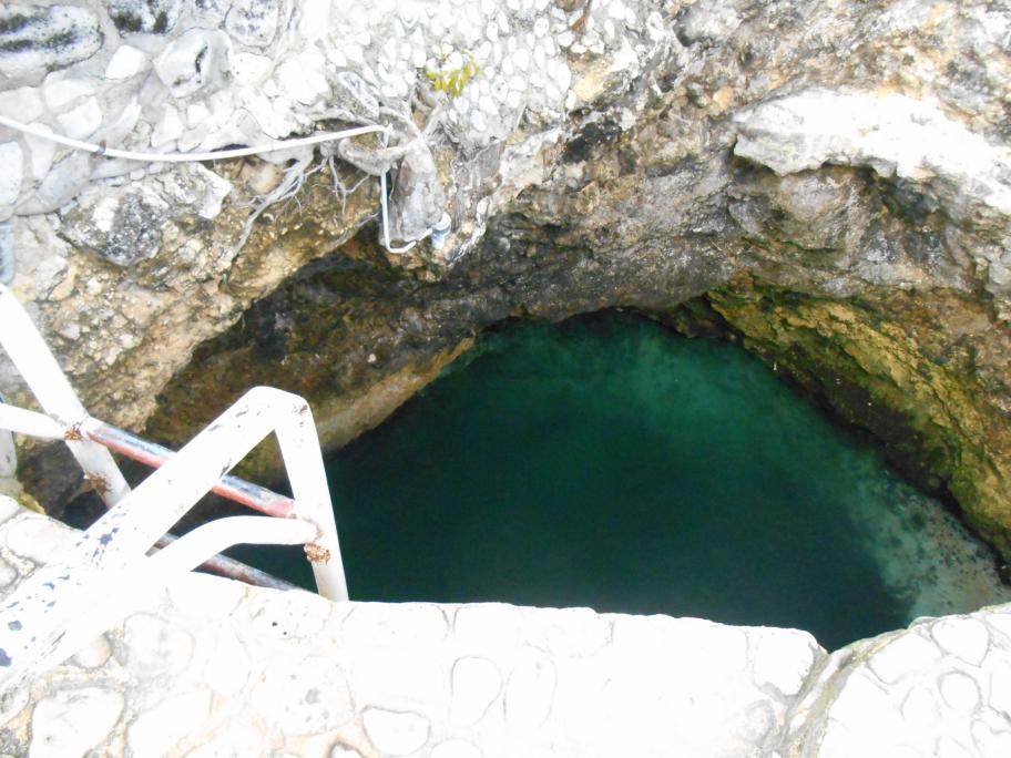 Name:  jamaica with kids jan 2014 335.jpg
Views: 609
Size:  93.7 KB