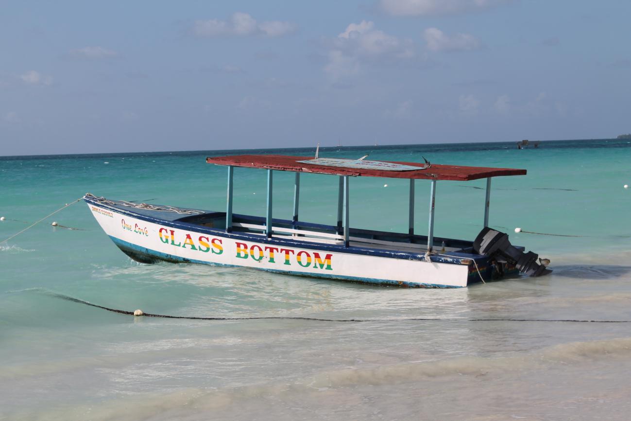 Name:  Jamaica Feb 2014 190.jpg
Views: 338
Size:  87.1 KB