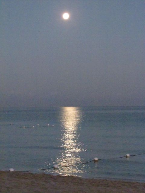 Name:  IMG_4111.jpg
Views: 2658
Size:  36.4 KB