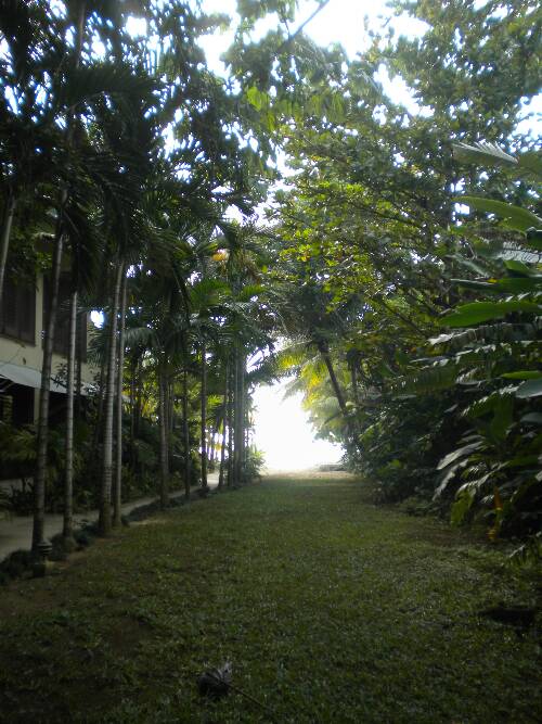 Click image for larger version. 

Name:	jamaica2010z 024.jpg 
Views:	537 
Size:	73.4 KB 
ID:	3509