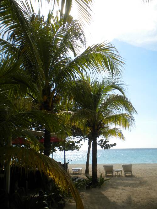Click image for larger version. 

Name:	jamaica2010z 019.jpg 
Views:	552 
Size:	67.8 KB 
ID:	3510