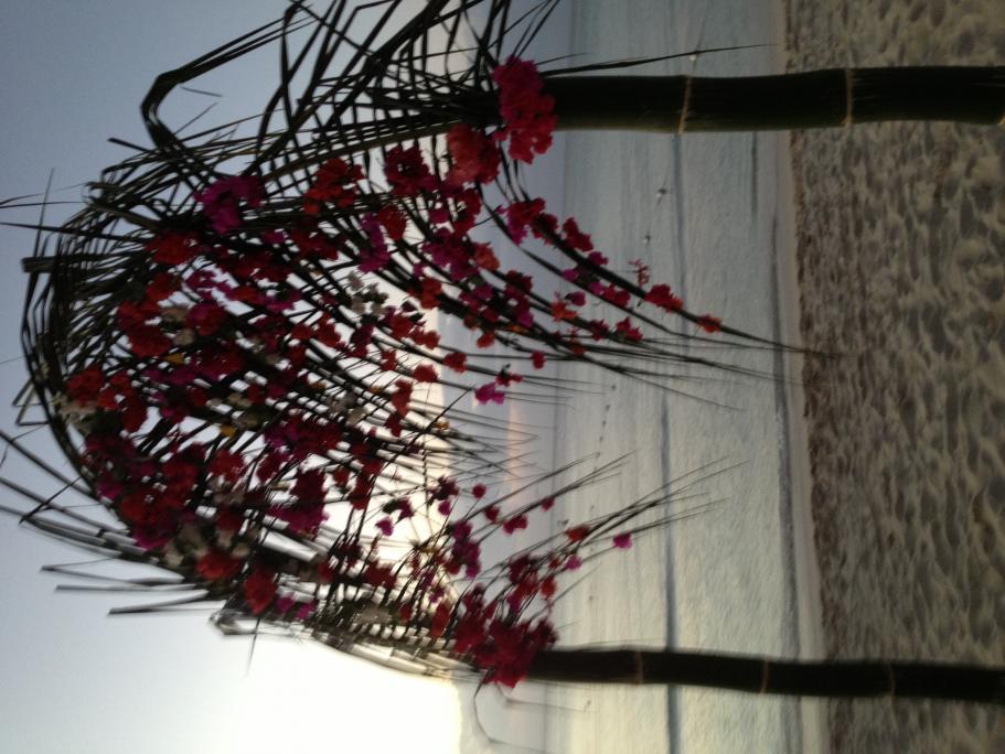 Name:  image.jpg
Views: 2250
Size:  92.6 KB