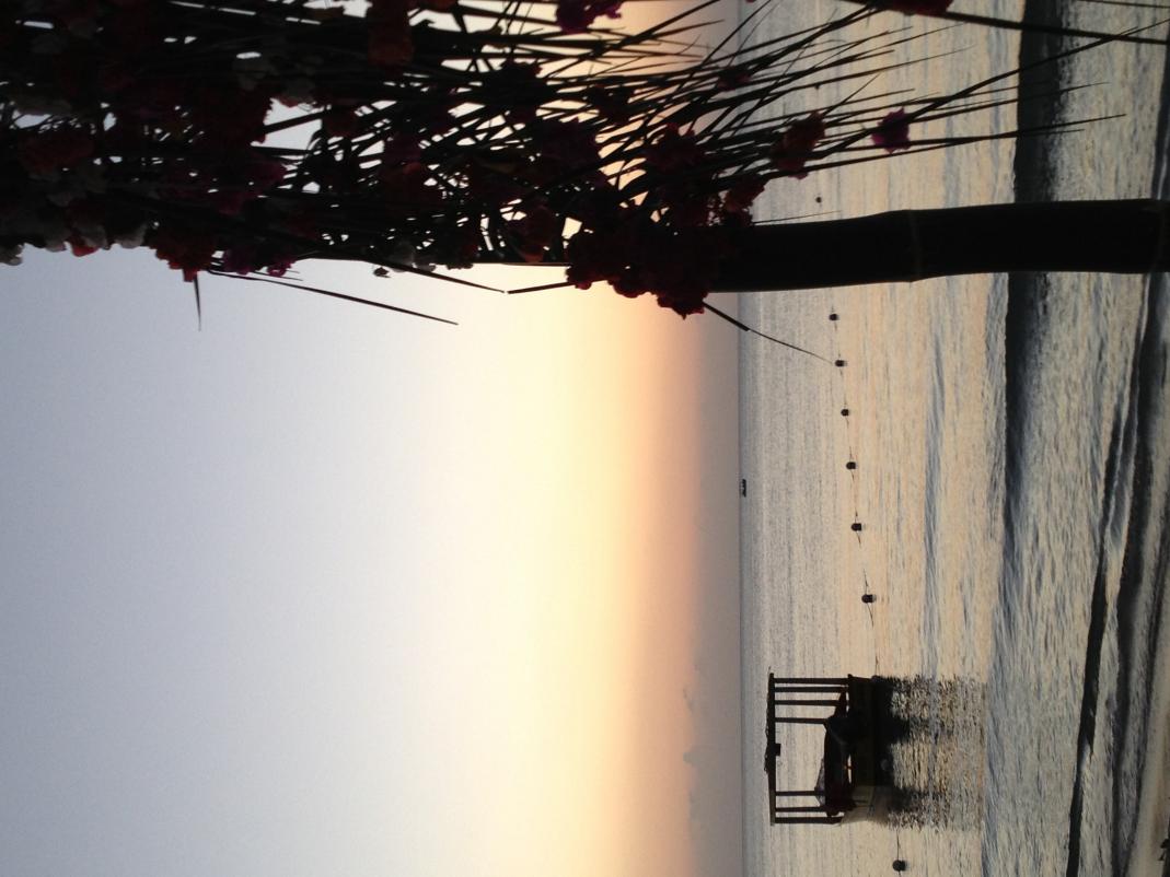 Name:  image.jpg
Views: 2112
Size:  88.6 KB