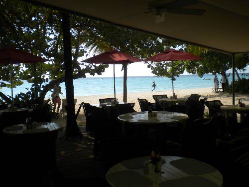 Click image for larger version. 

Name:	jamaica2010z 020.jpg 
Views:	578 
Size:	32.4 KB 
ID:	3511