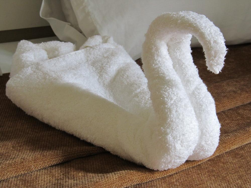 Name:  towel.jpg
Views: 1087
Size:  90.5 KB