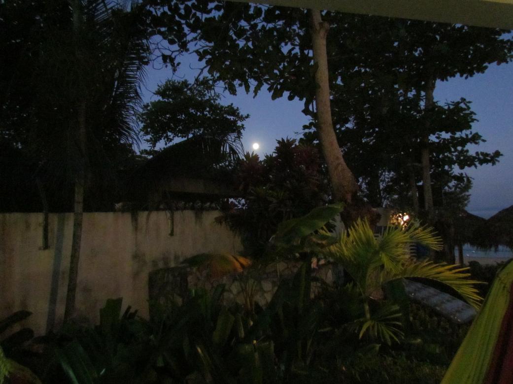 Name:  IMG_4102.jpg
Views: 1633
Size:  93.5 KB