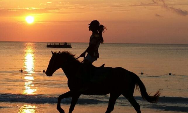 Name:  2014-03-20 18.35.50.jpg
Views: 512
Size:  29.1 KB