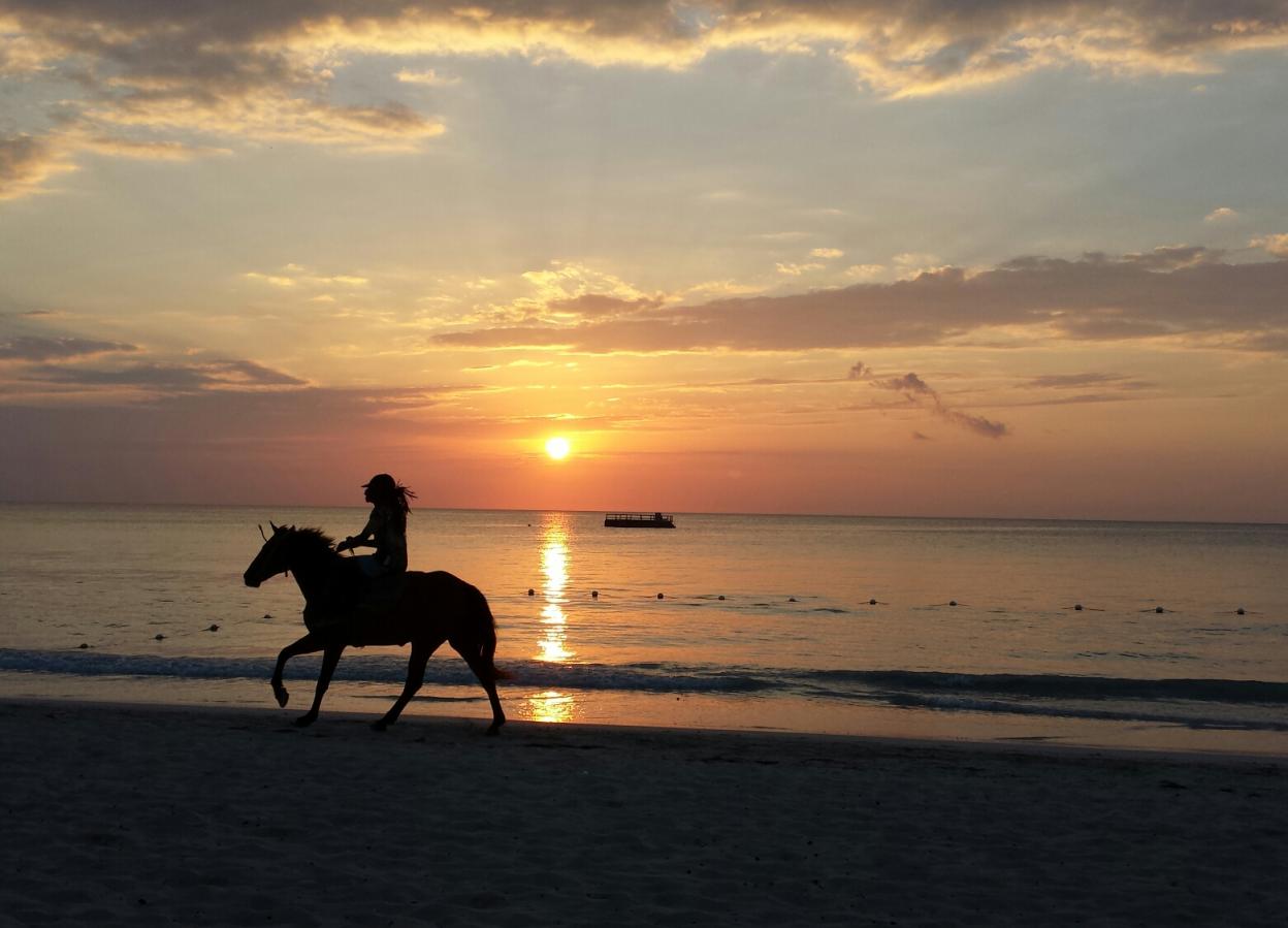 Name:  2014-03-20 18.34.23.jpg
Views: 500
Size:  85.8 KB