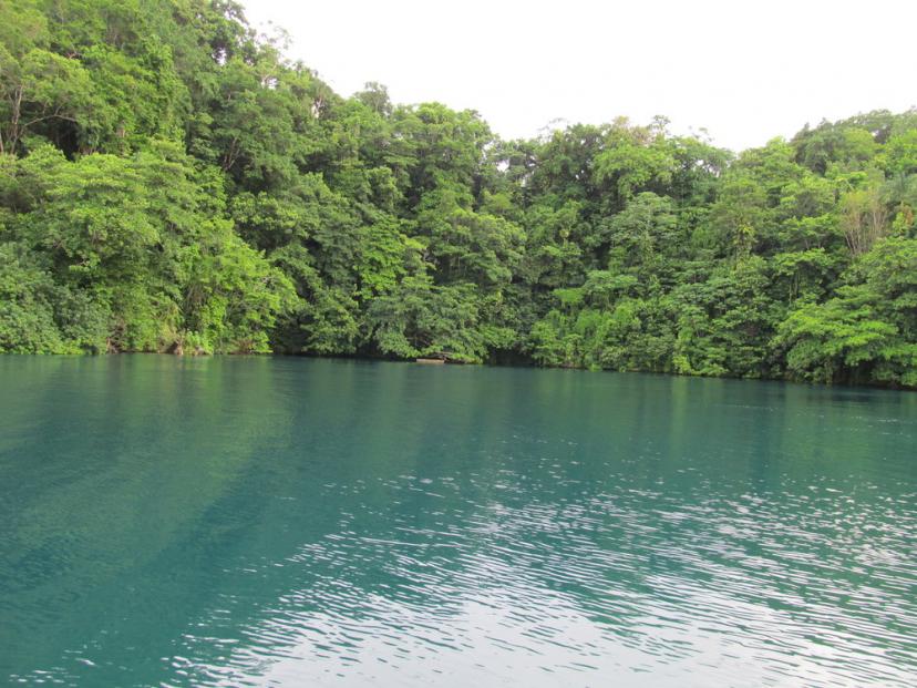 Name:  blue lagoon.jpg
Views: 1088
Size:  97.1 KB