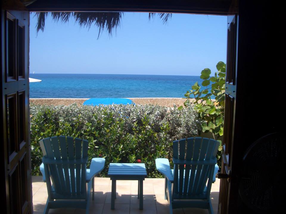 Name:  blue mahoe5.jpg
Views: 1159
Size:  76.8 KB