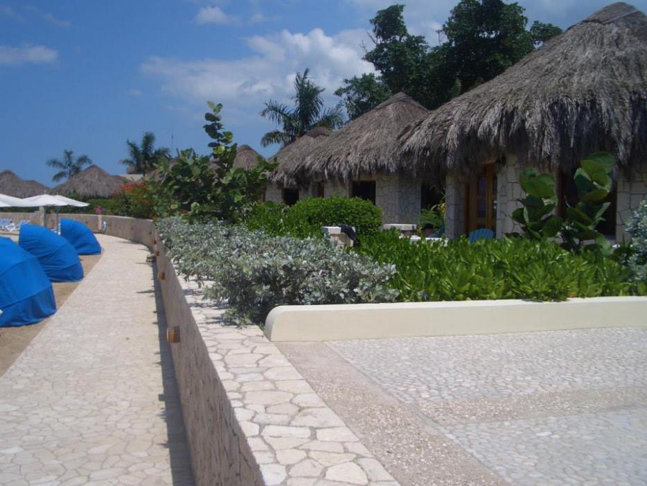 Name:  blue mahoe4.jpg
Views: 1176
Size:  92.9 KB