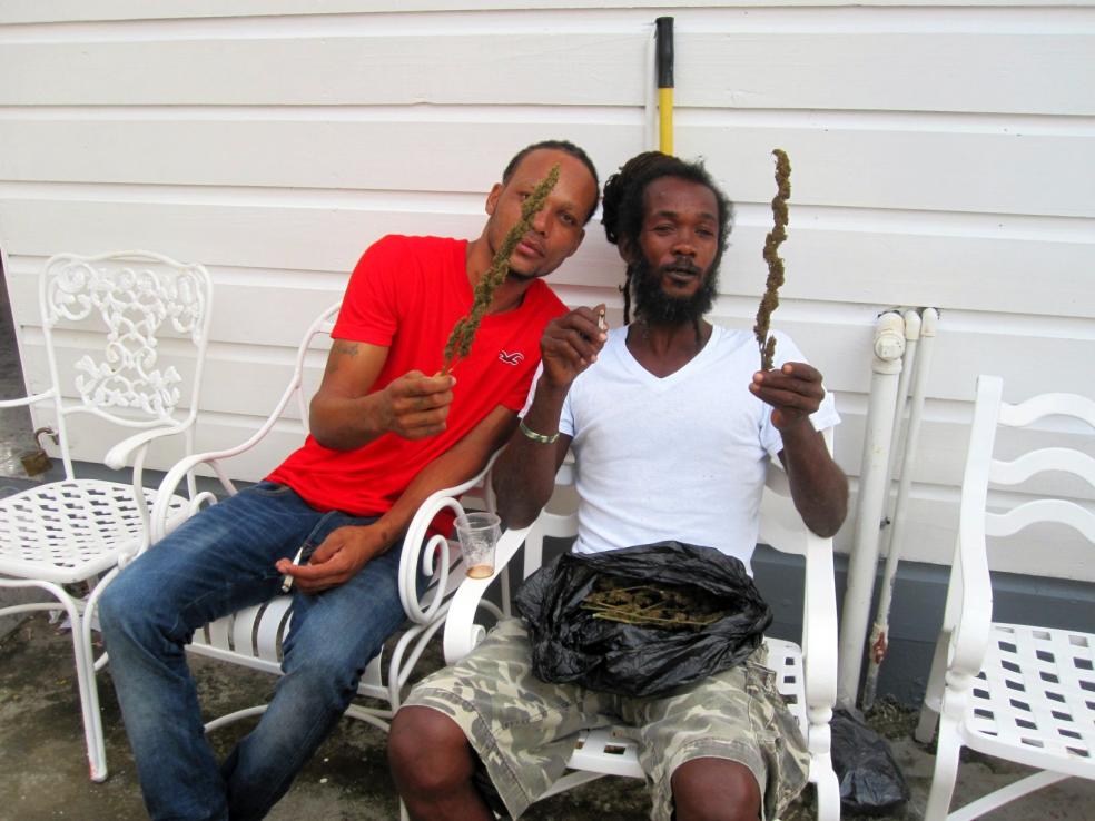 Name:  Jamaica Nov 2013 086.jpg
Views: 852
Size:  89.4 KB