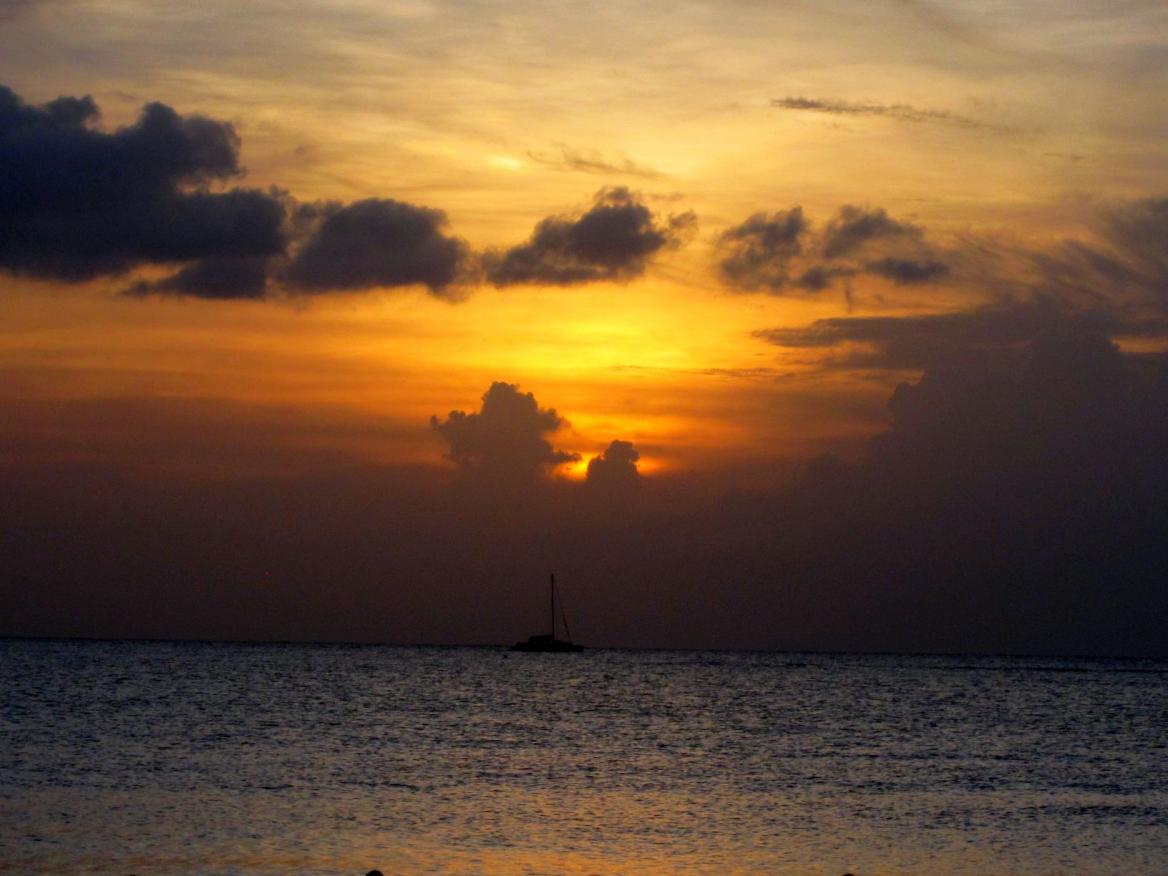 Name:  Jamaica Nov 2013 125.jpg
Views: 868
Size:  91.0 KB