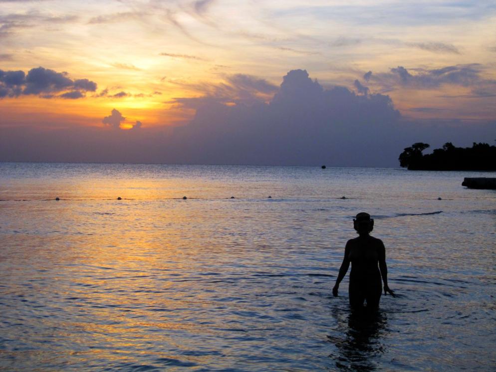 Name:  Jamaica Nov 2013 133.jpg
Views: 837
Size:  93.1 KB