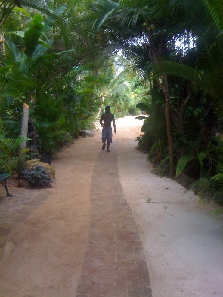 Name:  jamaica 175.jpg
Views: 823
Size:  91.6 KB