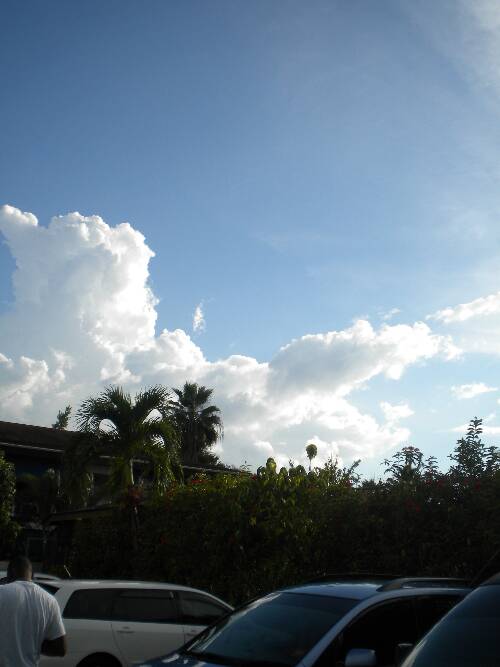 Click image for larger version. 

Name:	jamaica2010z 034.jpg 
Views:	535 
Size:	31.6 KB 
ID:	3548