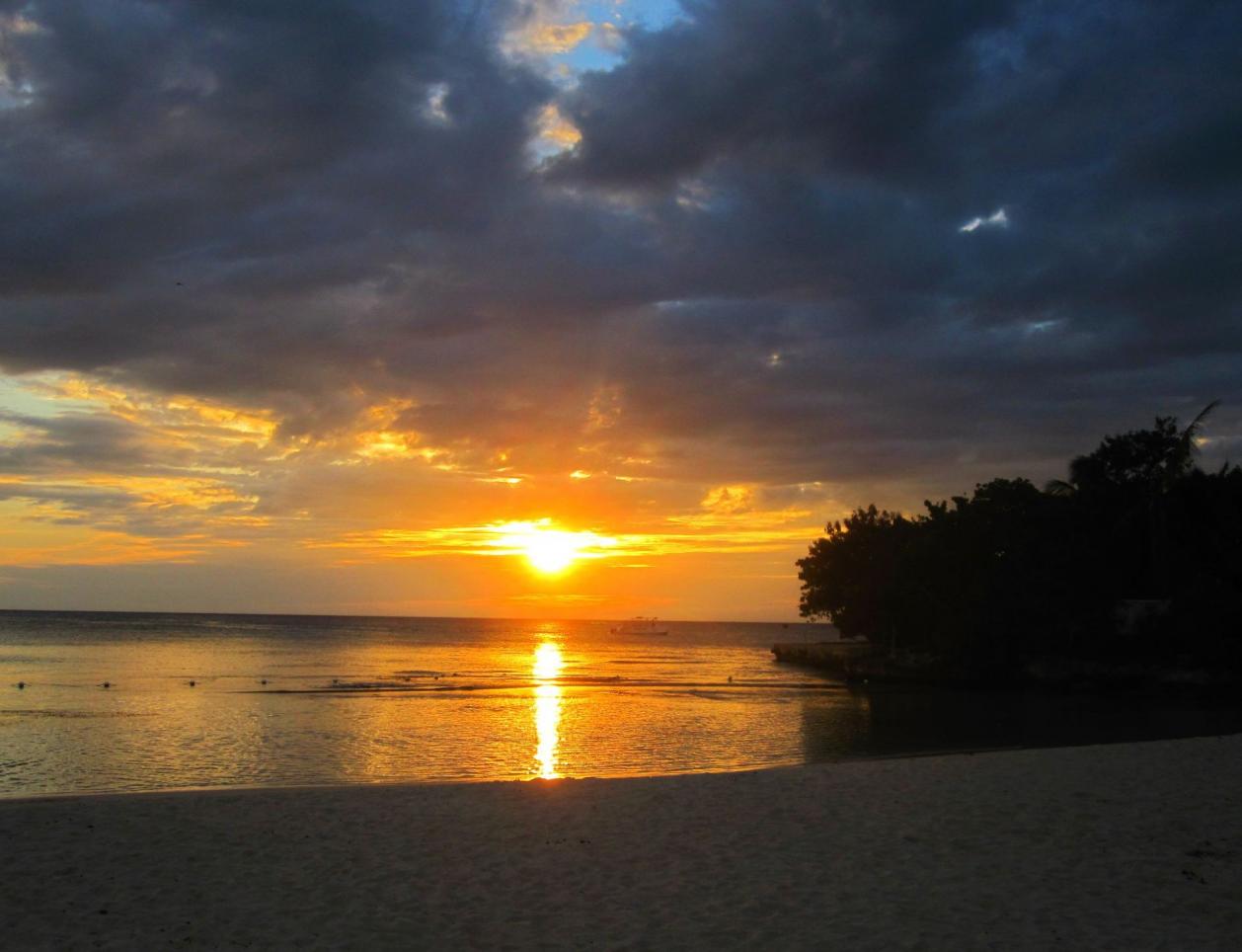 Name:  Jamaica Nov 2012 189.jpg
Views: 751
Size:  87.7 KB