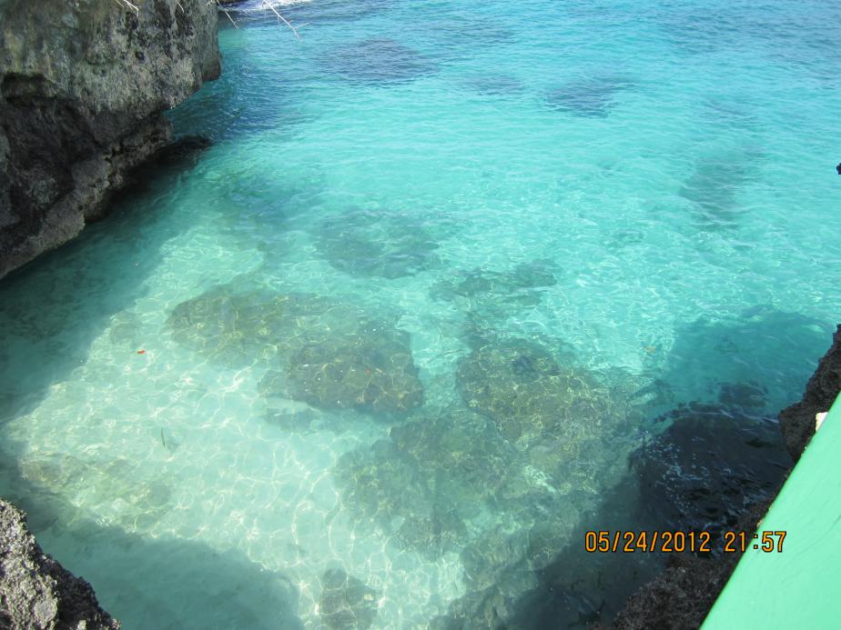 Name:  Negril 2012 151.jpg
Views: 955
Size:  94.9 KB