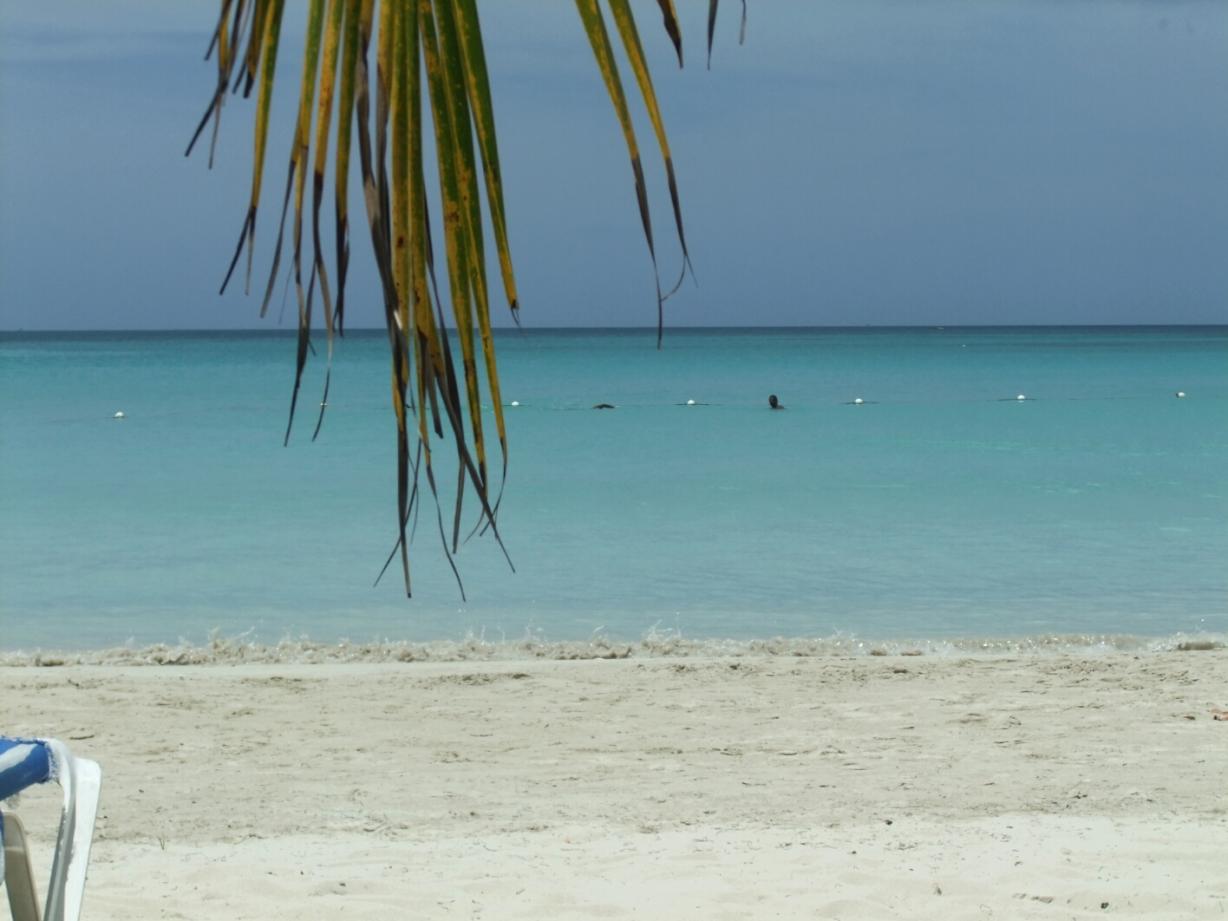 Name:  Calm sea.jpg
Views: 421
Size:  83.9 KB