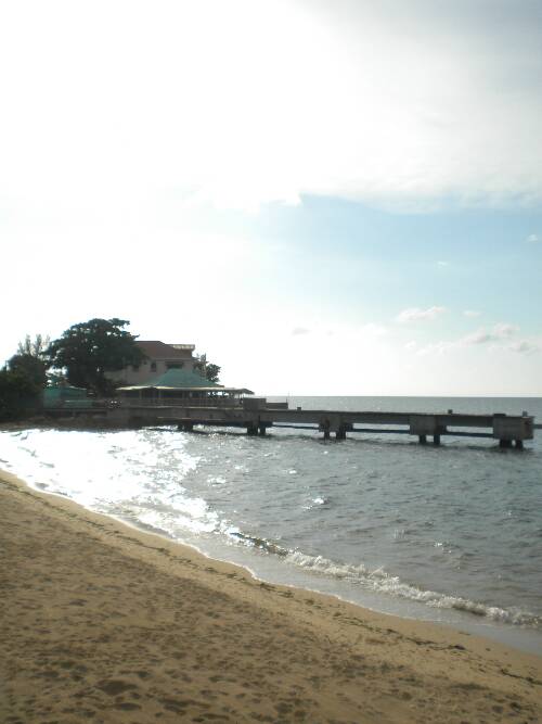 Click image for larger version. 

Name:	jamaica2010z 035.jpg 
Views:	515 
Size:	32.8 KB 
ID:	3552