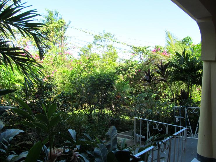 Name:  IMG_0277.jpg
Views: 266
Size:  99.5 KB