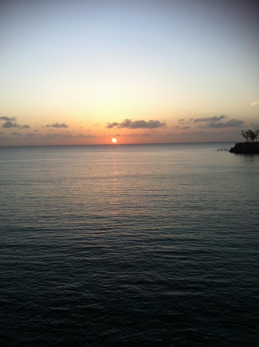 Name:  IMG_0204.jpg
Views: 591
Size:  94.2 KB