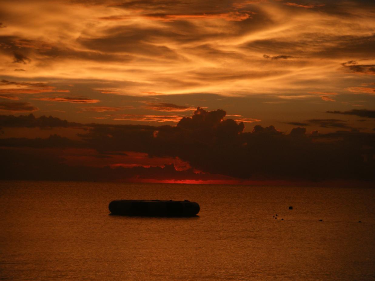 Name:  96SunsetTrampoline.jpg
Views: 554
Size:  86.0 KB