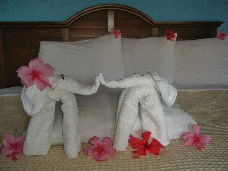 Name:  Towel Art 2.jpg
Views: 560
Size:  75.9 KB