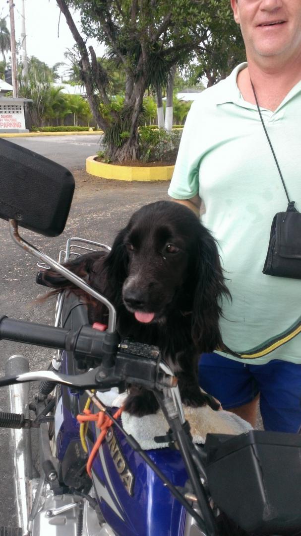 Name:  kia on  bike.jpg
Views: 735
Size:  98.1 KB