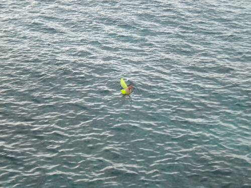 Click image for larger version. 

Name:	Jamaica 2010 photos (470).jpg 
Views:	502 
Size:	42.1 KB 
ID:	3576