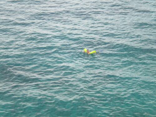Click image for larger version. 

Name:	Jamaica 2010 photos (474).jpg 
Views:	511 
Size:	36.5 KB 
ID:	3578