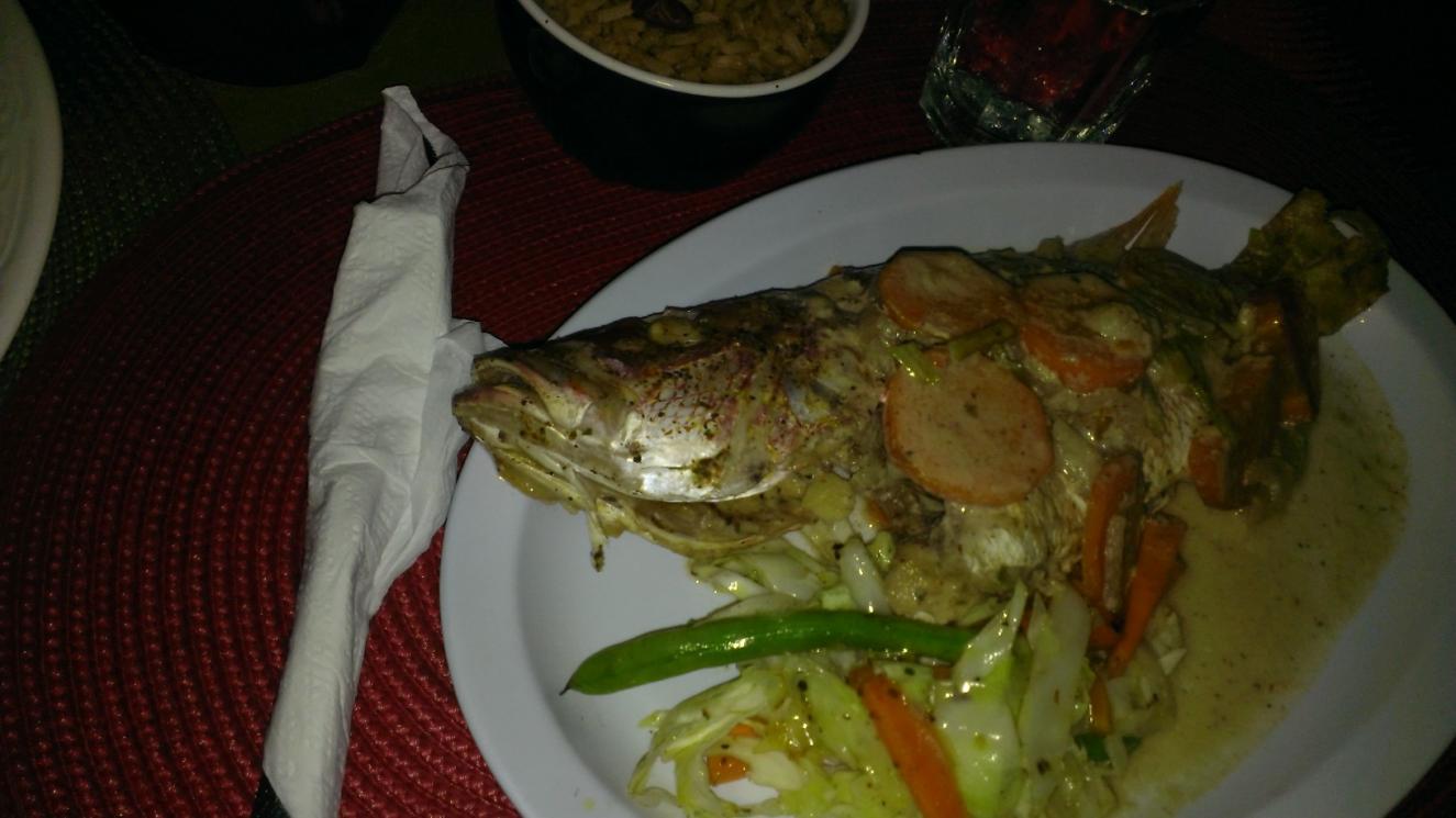 Name:  snapper.jpg
Views: 485
Size:  90.5 KB