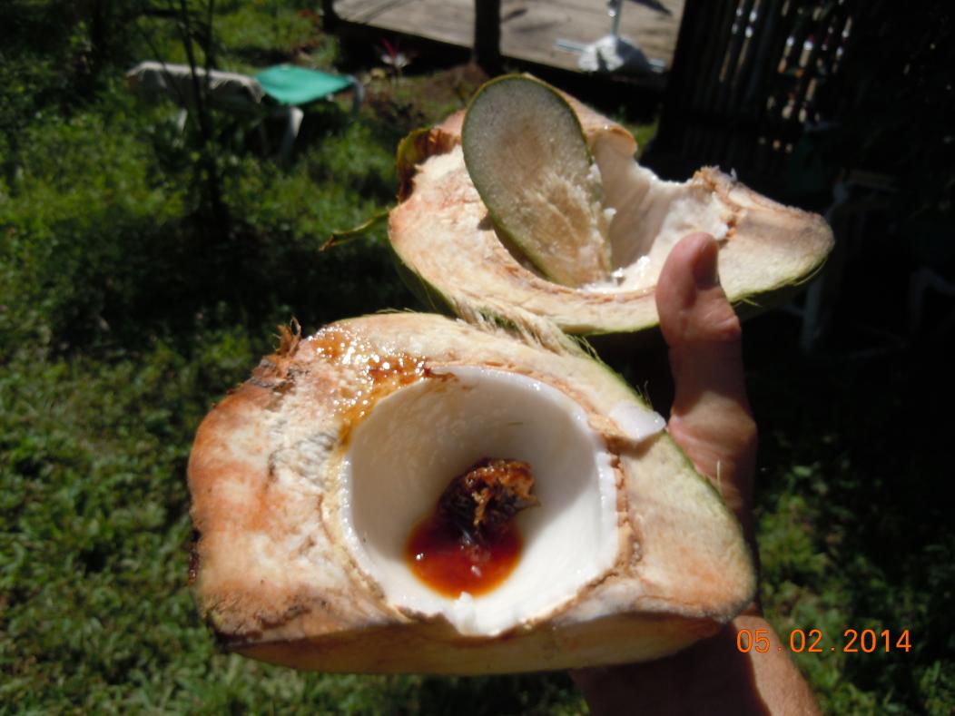 Name:  DSCN4274.jpg
Views: 188
Size:  85.0 KB