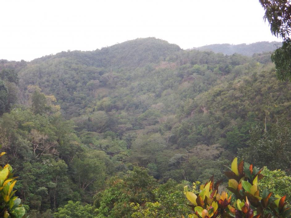 Name:  DSCF0273.jpg
Views: 406
Size:  94.8 KB