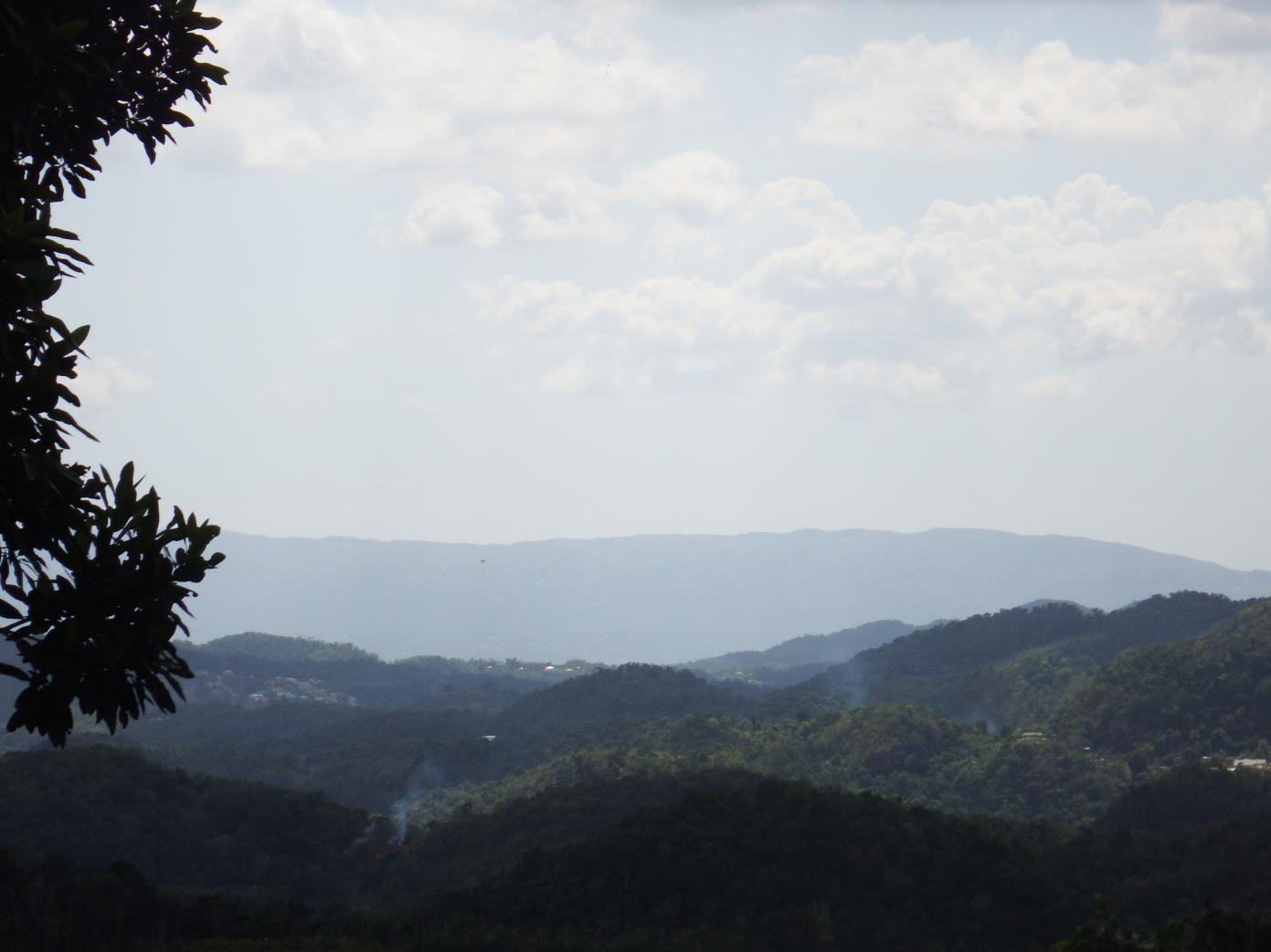 Name:  DSCF0281.jpg
Views: 441
Size:  77.8 KB