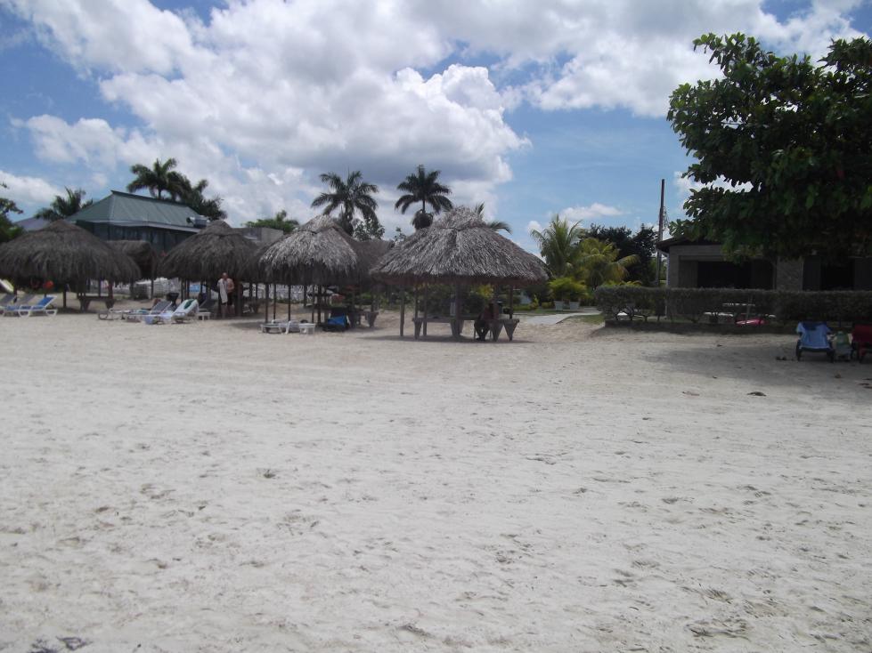 Name:  DSCF1647.jpg
Views: 2140
Size:  92.9 KB