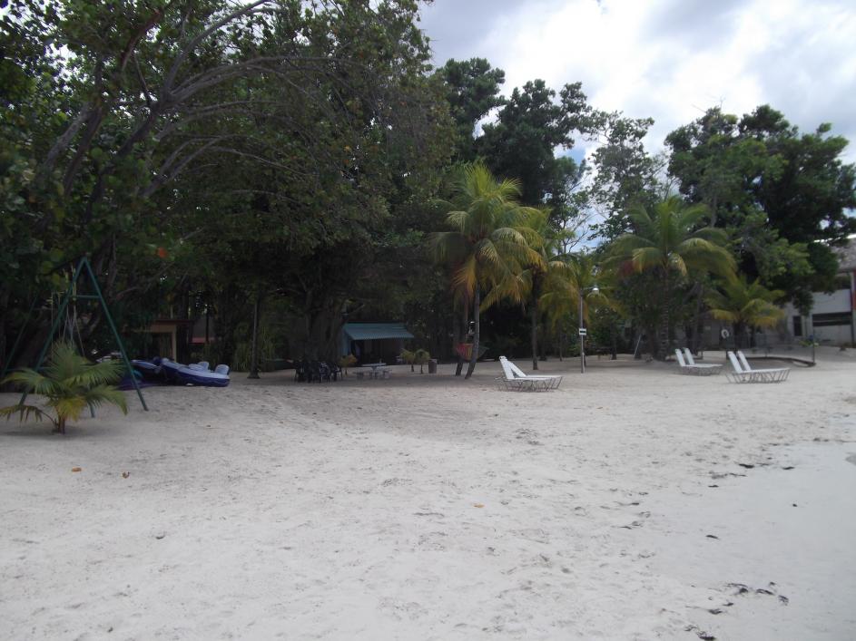 Name:  DSCF1670.jpg
Views: 1331
Size:  94.5 KB