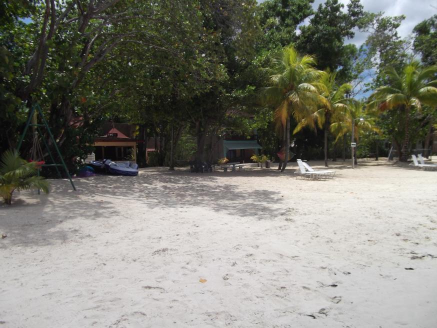 Name:  DSCF1672.jpg
Views: 1334
Size:  95.8 KB