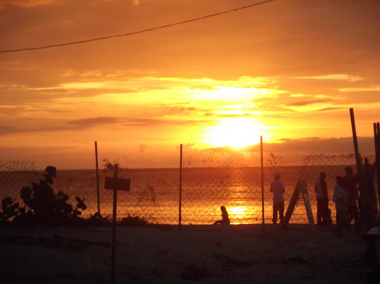 Name:  DSCF1774.jpg
Views: 1009
Size:  82.1 KB