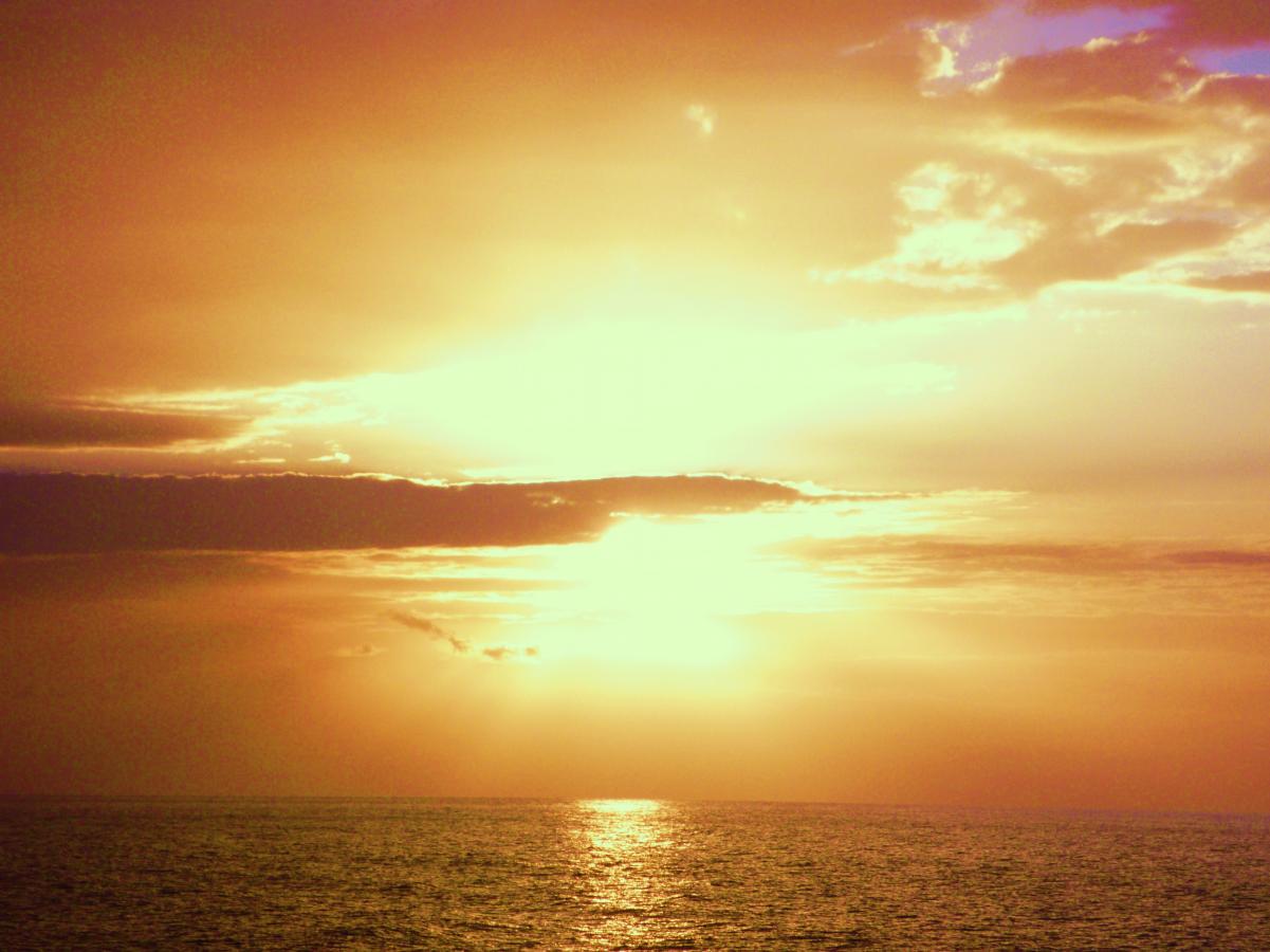 Name:  105.jpg
Views: 492
Size:  91.0 KB