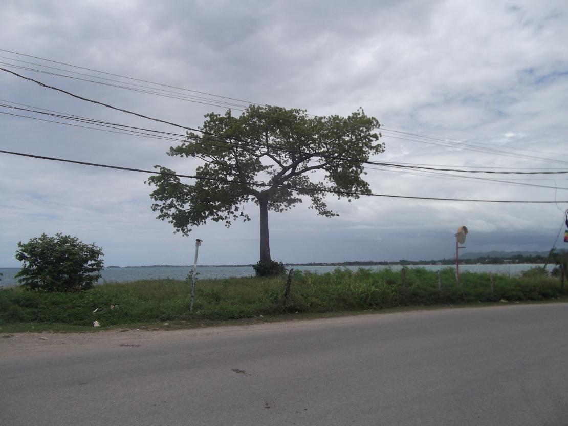 Name:  DSCF1780.jpg
Views: 859
Size:  90.0 KB
